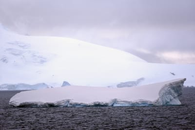 DSC_9426.JPG