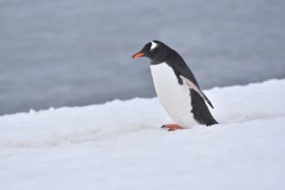 DSC_0041.JPG