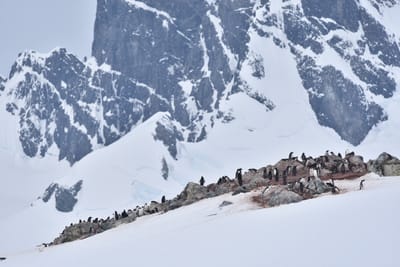 DSC_0042.JPG