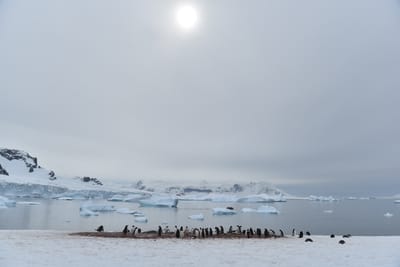DSC_0044.JPG