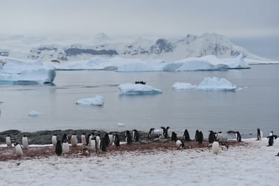 DSC_0045.JPG