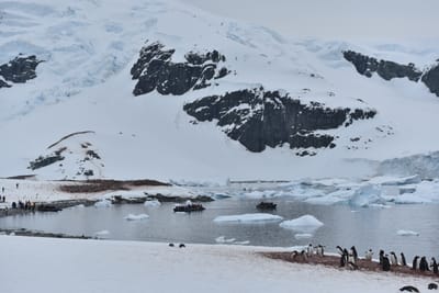 DSC_0046.JPG