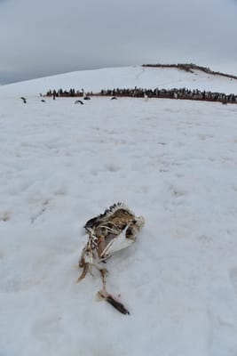 DSC_0048.JPG