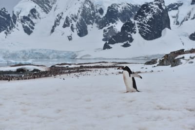 DSC_0056.JPG