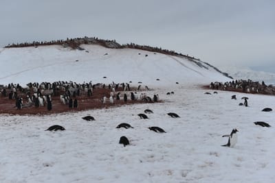 DSC_0057.JPG