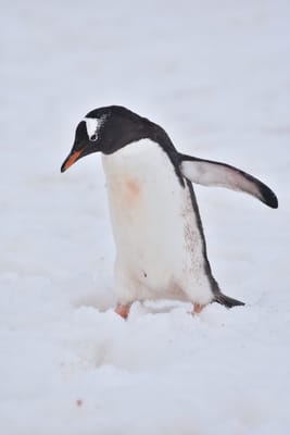 DSC_0069.JPG