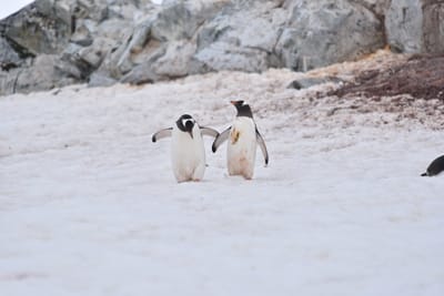 DSC_0072.JPG