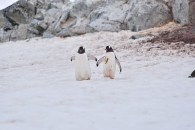 DSC_0073.JPG