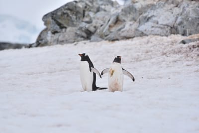 DSC_0074.JPG