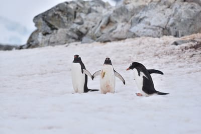 DSC_0075.JPG