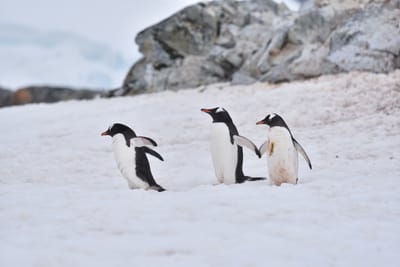 DSC_0076.JPG
