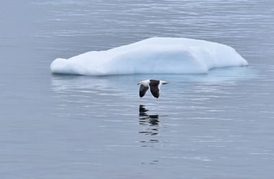 DSC_0078.JPG
