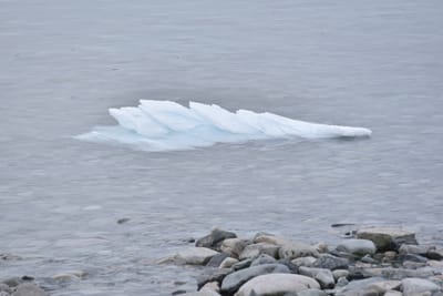 DSC_0080.JPG