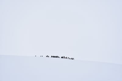 DSC_0083.JPG