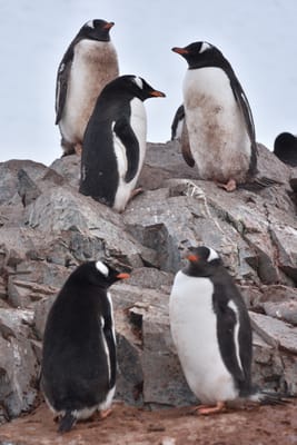 DSC_0092.JPG