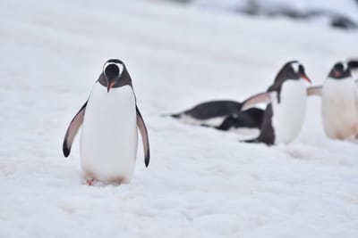 DSC_0095.JPG