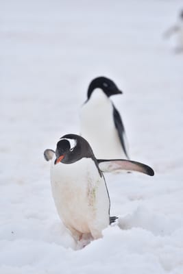 DSC_0097.JPG
