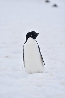 DSC_0098.JPG