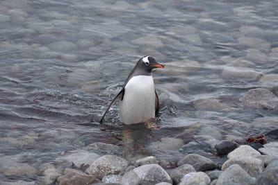 DSC_0101.JPG