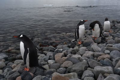 DSC_0112.JPG