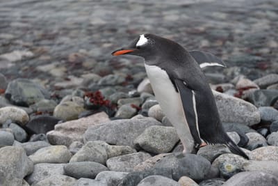DSC_0114.JPG