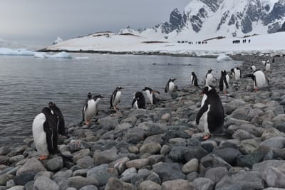 DSC_0116.JPG