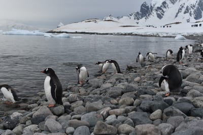 DSC_0117.JPG