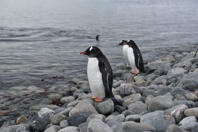 DSC_0119.JPG