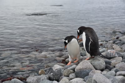 DSC_0120.JPG