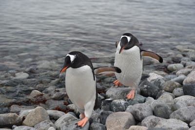 DSC_0123.JPG