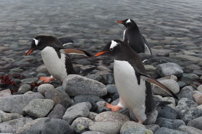 DSC_0126.JPG