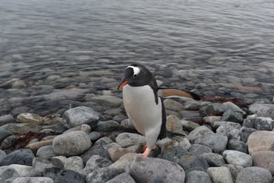 DSC_0127.JPG