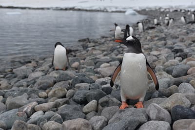 DSC_0130.JPG