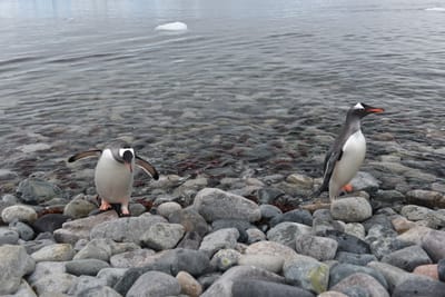 DSC_0132.JPG