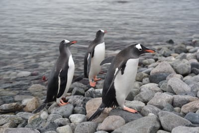 DSC_0134.JPG