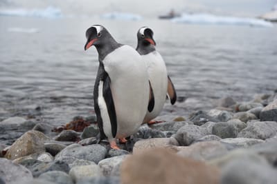 DSC_0137.JPG