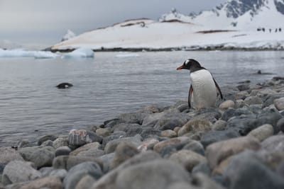 DSC_0141.JPG