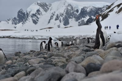DSC_0142.JPG
