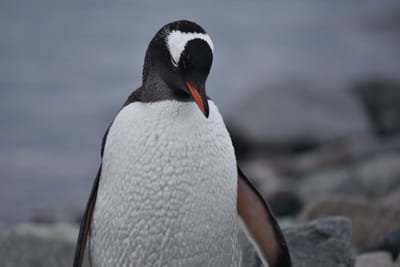 DSC_0143.JPG