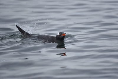 DSC_0155.JPG