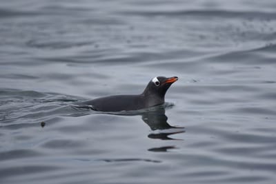 DSC_0158.JPG