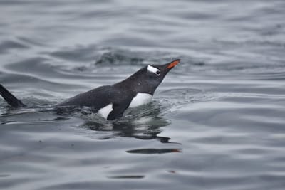 DSC_0159.JPG