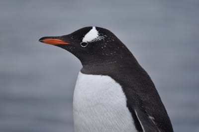 DSC_0160.JPG