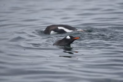 DSC_0161.JPG