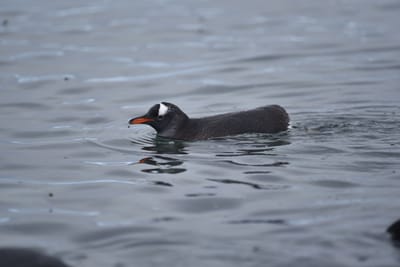 DSC_0162.JPG