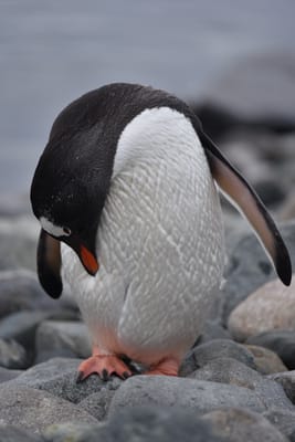 DSC_0165.JPG