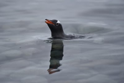 DSC_0181.JPG