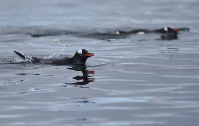 DSC_0193.JPG