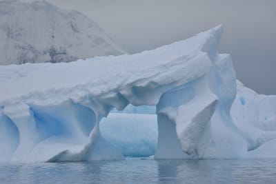DSC_0199.JPG