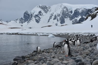 DSC_0201.JPG